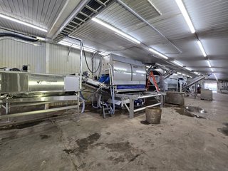 Modernisation patate