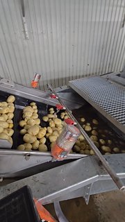 Modernisation patate